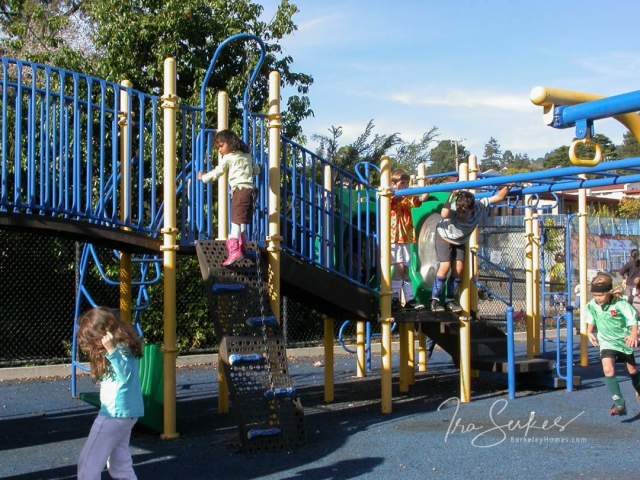 berkeley-ca-thousand-1000-oaks-neighborhood-thousand-oaks-school-840-colusa-school-yard-playground-08